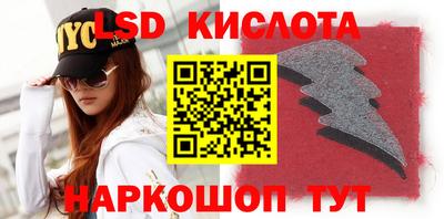 шишки Кандалакша