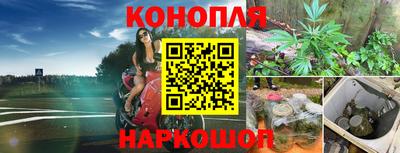прущая мука Камышлов